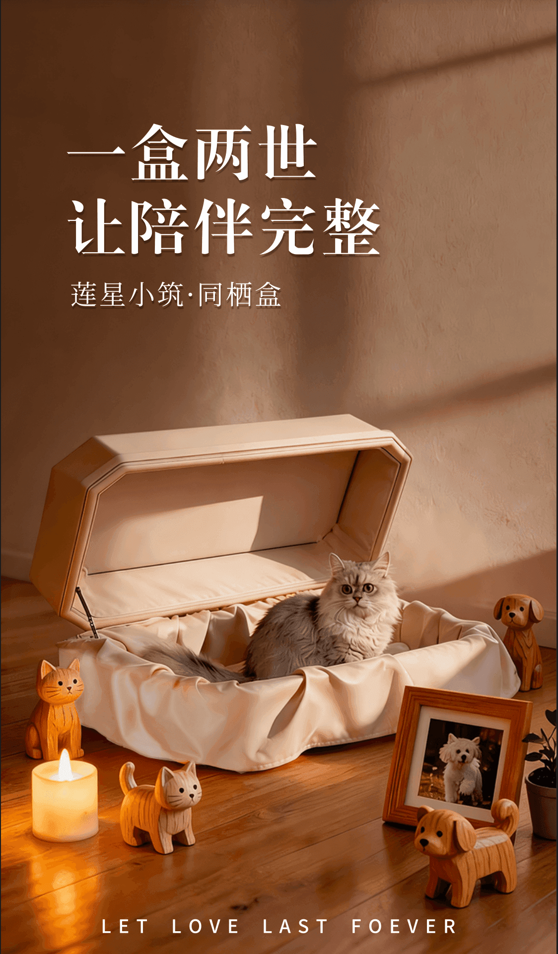 Companion Box